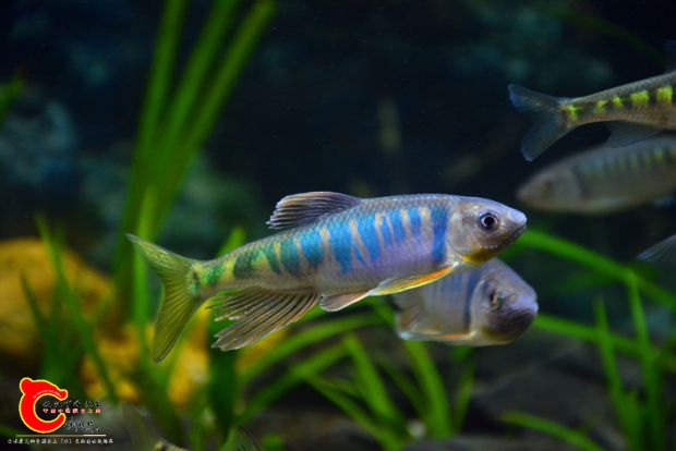 DSC_2947.JPG