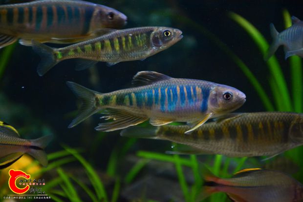 DSC_2957.JPG