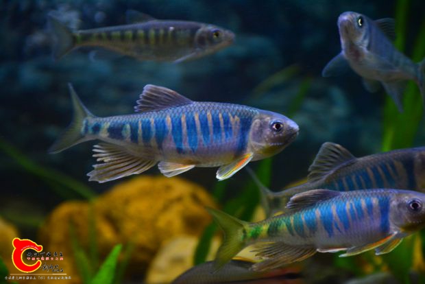 DSC_2962.JPG