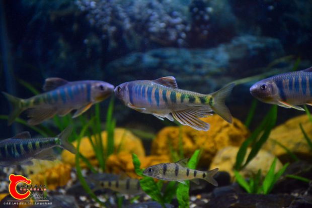 DSC_2964.JPG