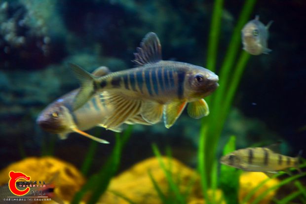 DSC_2968.JPG