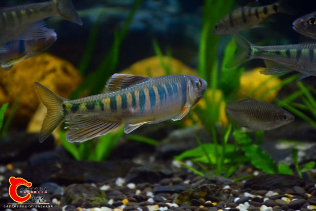 DSC_2969.JPG
