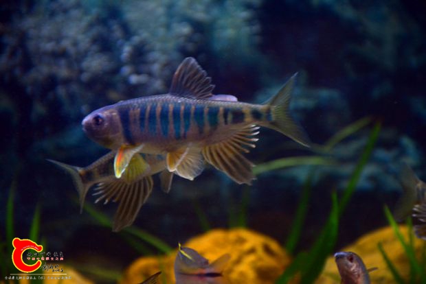 DSC_2972.JPG