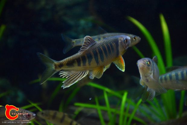 DSC_2973.JPG