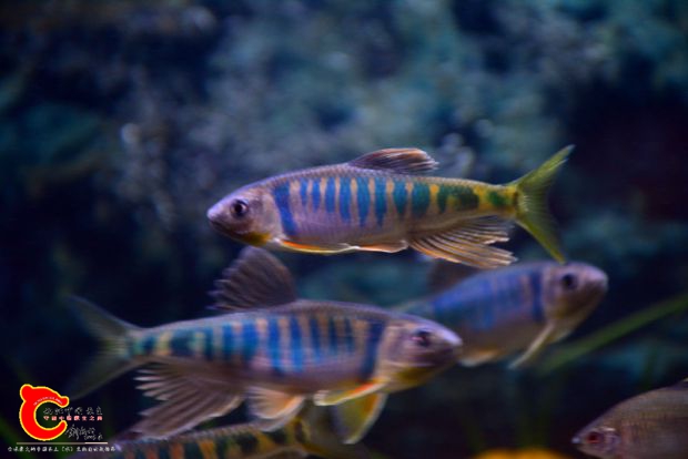 DSC_2975.JPG