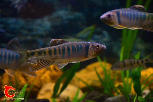 DSC_2979.JPG