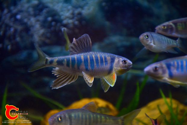 DSC_2980.JPG