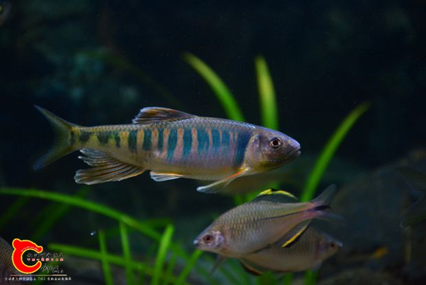 DSC_2984.JPG