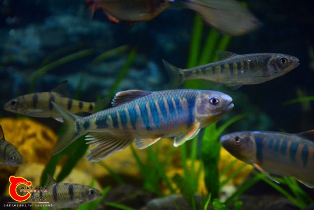 DSC_2985.JPG