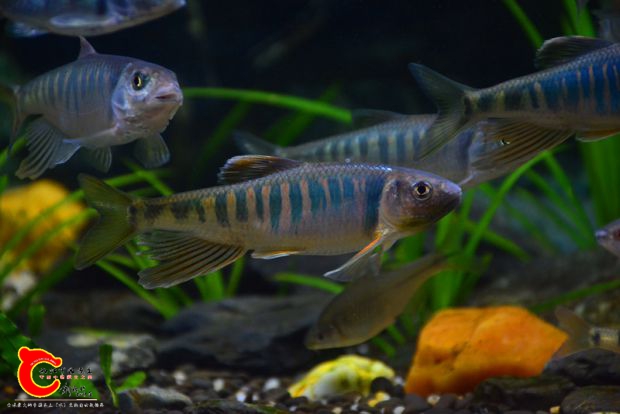 DSC_2986.JPG