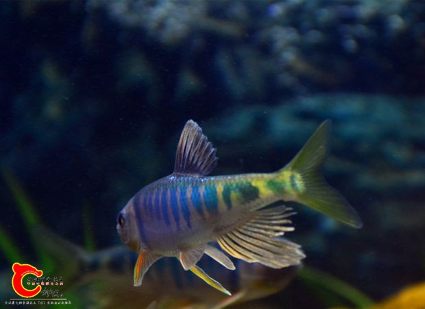 DSC_2987.JPG