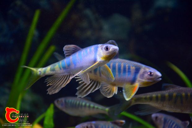 DSC_3002.JPG