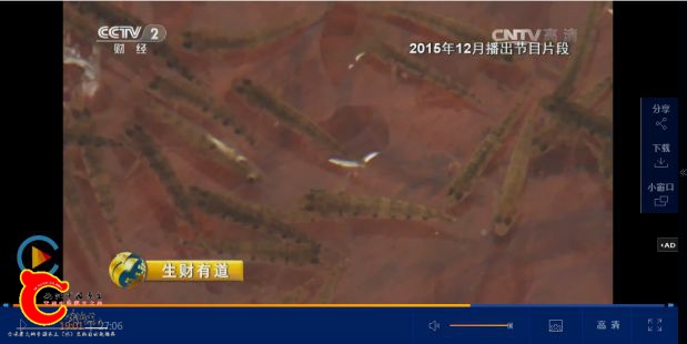 东至县麦鱼-05.jpg