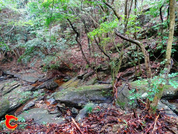DSC03899.JPG