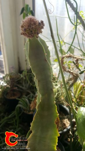 20170313_102755_副本.jpg