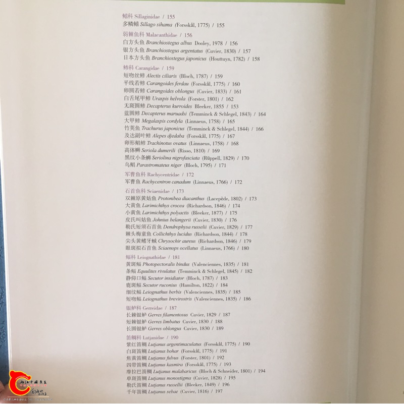 093749ms15jb4tb454kb43.jpg