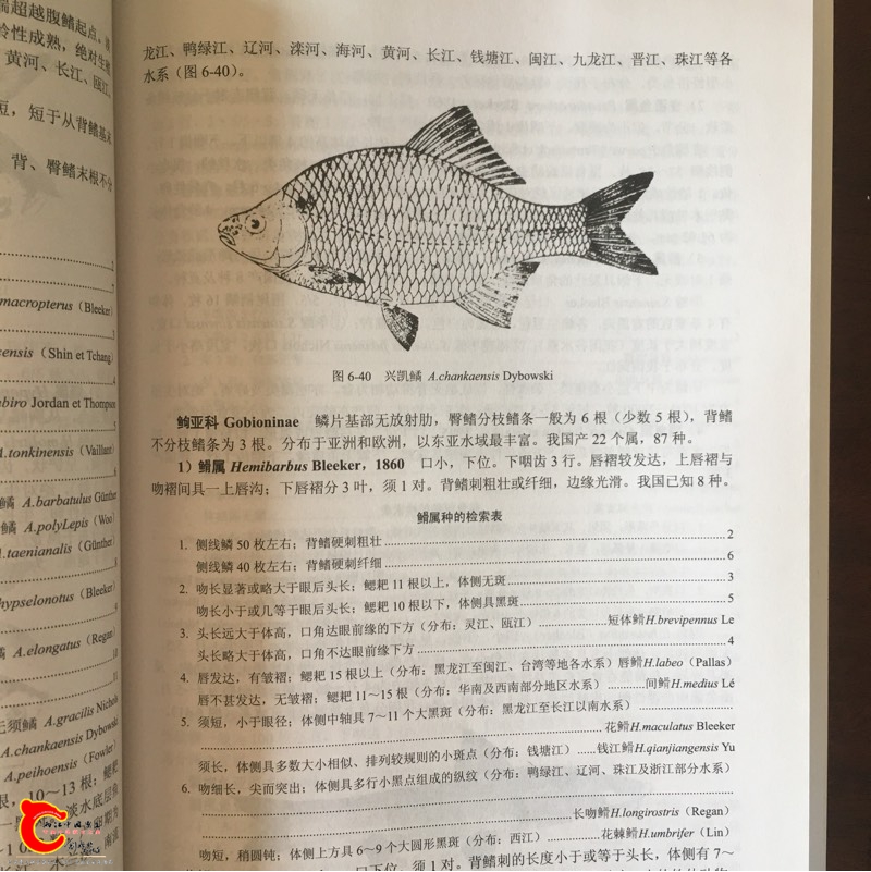 093930nldve82wtwvbwgwf.jpg