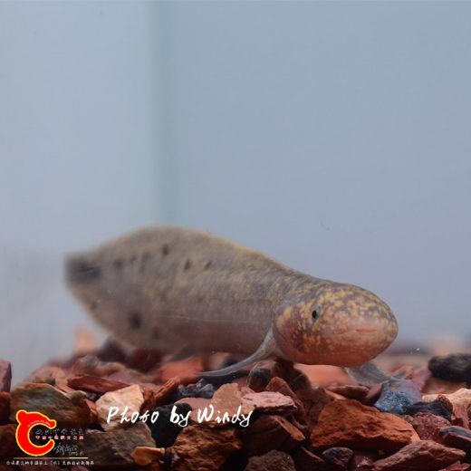 DSC_6369_副本.jpg