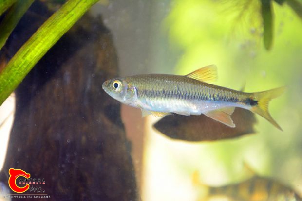 DSC_3042.JPG