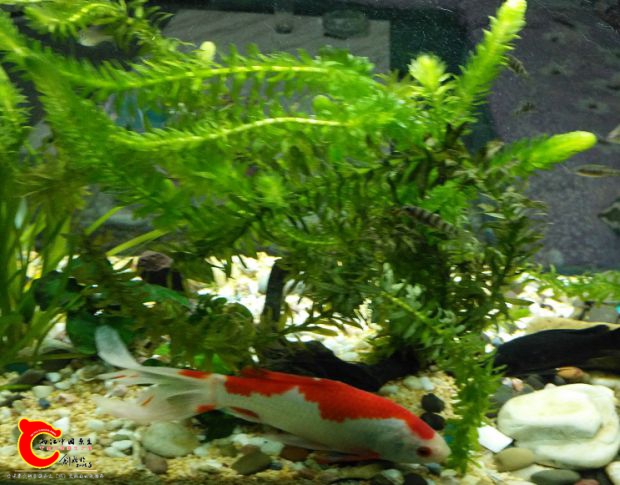 IMG_20170325_192631.jpg