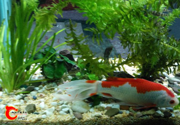 IMG_20170325_192634.jpg