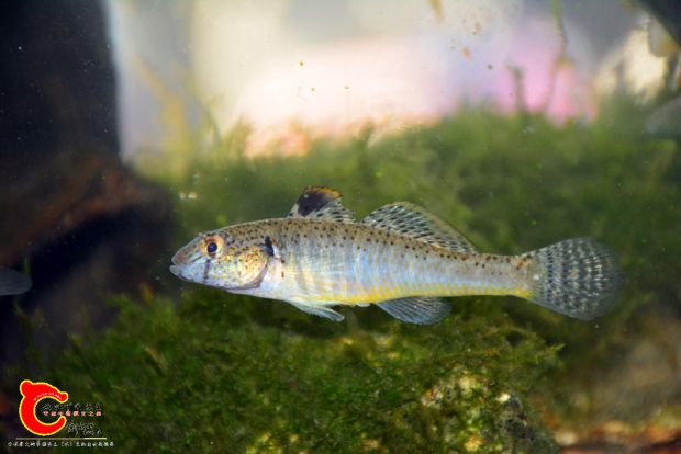 DSC_3044.JPG