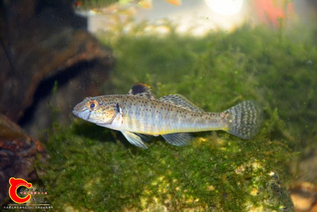 DSC_3045.JPG