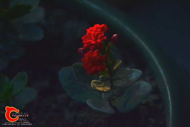 DSC_3004.JPG