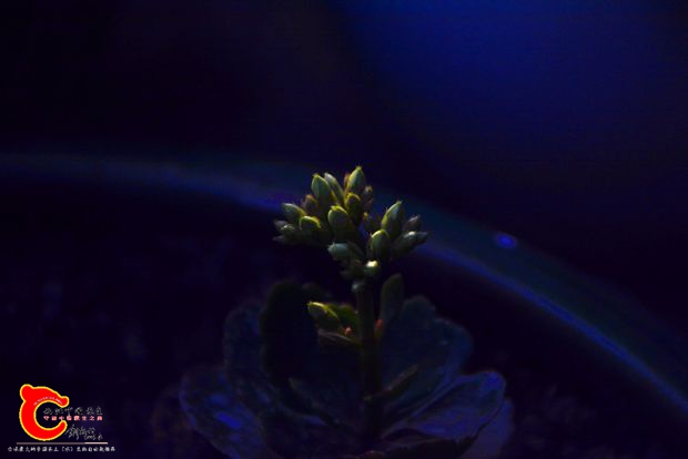 DSC_3005.JPG