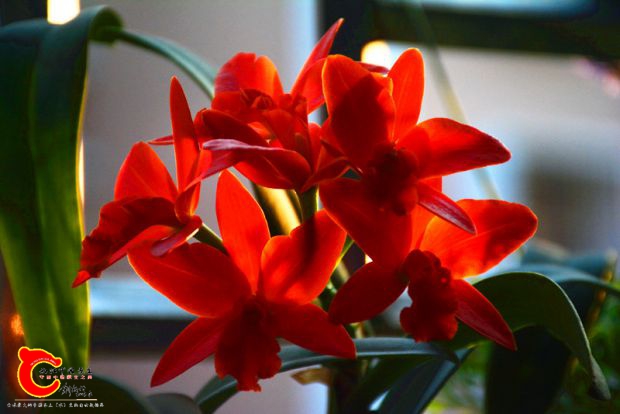 DSC_3008.JPG