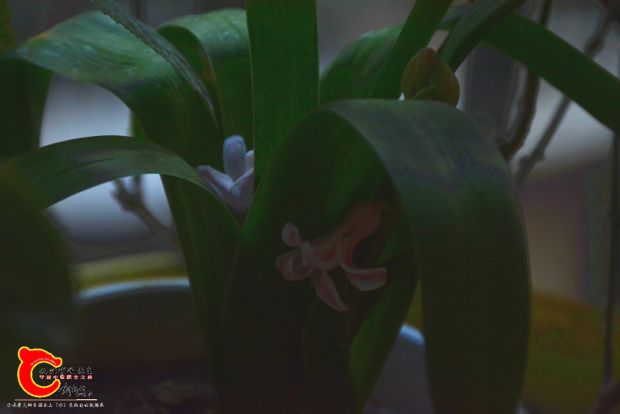 DSC_3019.JPG