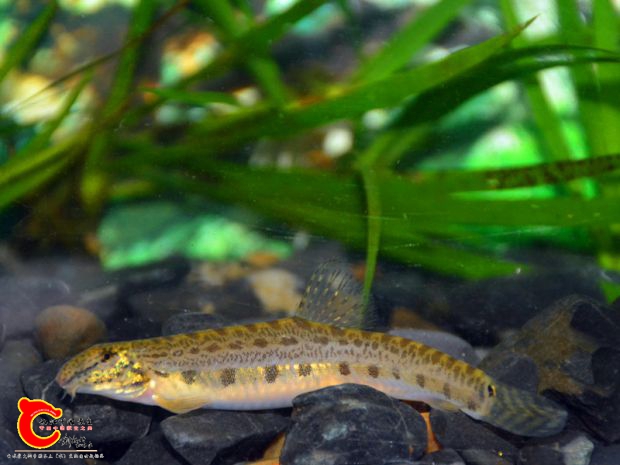 DSC_3125.JPG