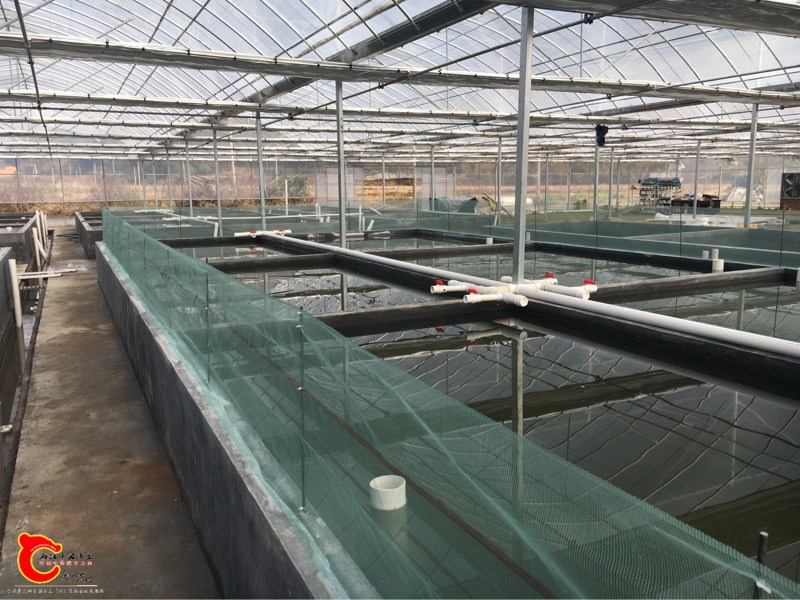 034425sqm0f27lzjcqmbc2.jpg
