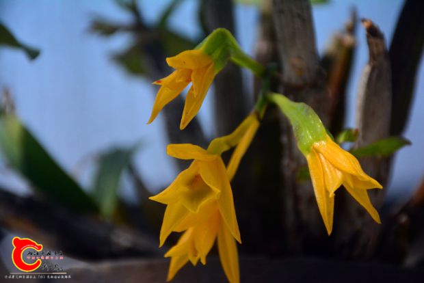 DSC_3047.JPG
