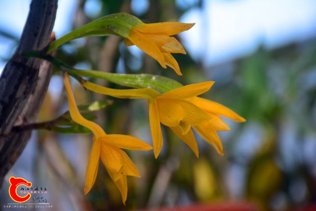 DSC_3048.JPG