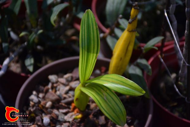DSC_3051.JPG