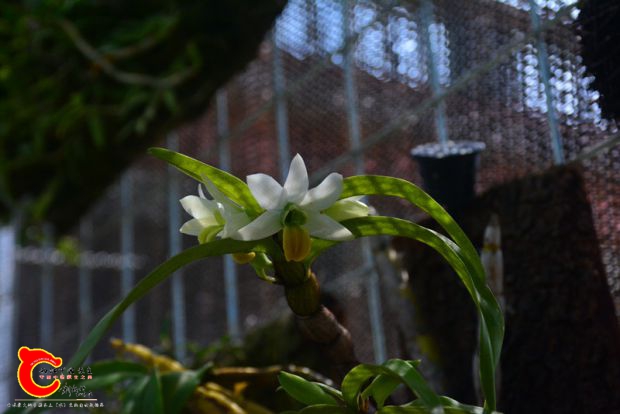 DSC_3057.JPG