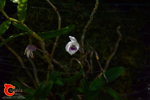 DSC_3058.JPG