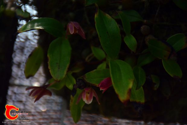 DSC_3059.JPG