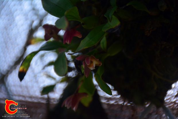 DSC_3060.JPG