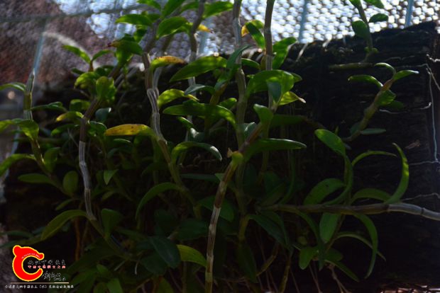 DSC_3061.JPG