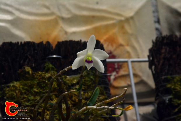 DSC_3080.JPG