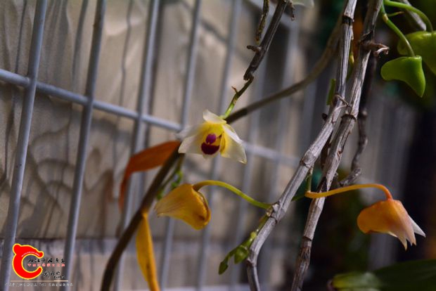 DSC_3082.JPG