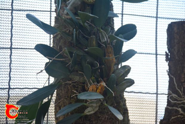 DSC_3102.JPG