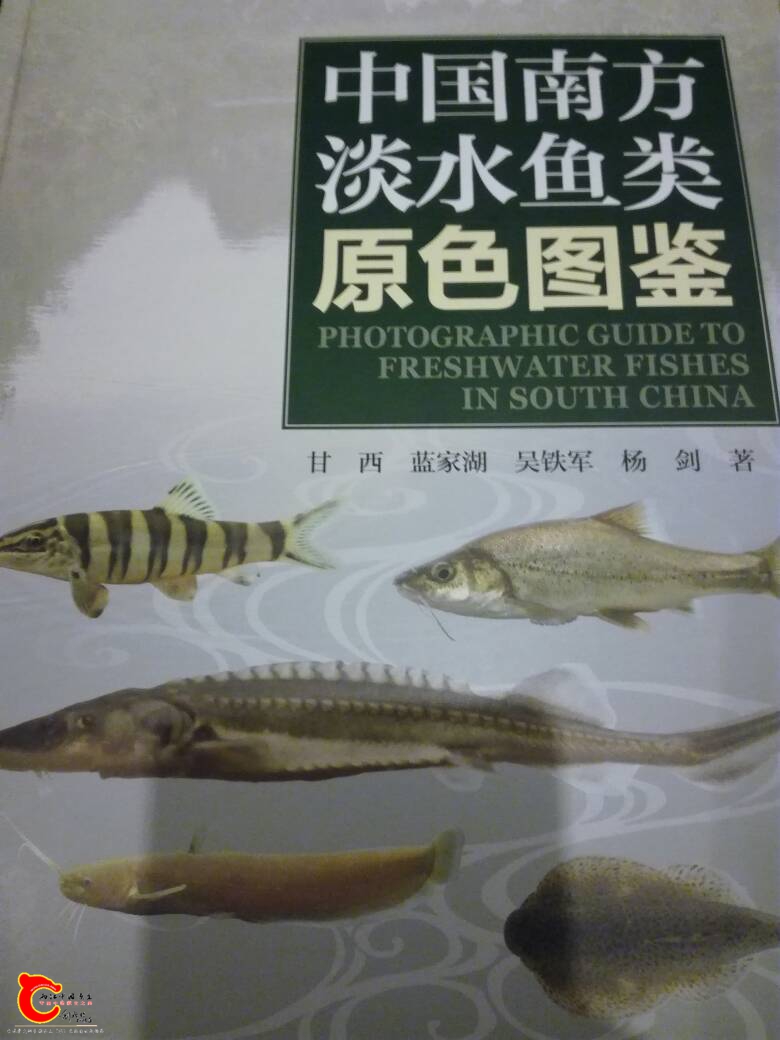 114531ad7xrmzc1oov177g.jpg