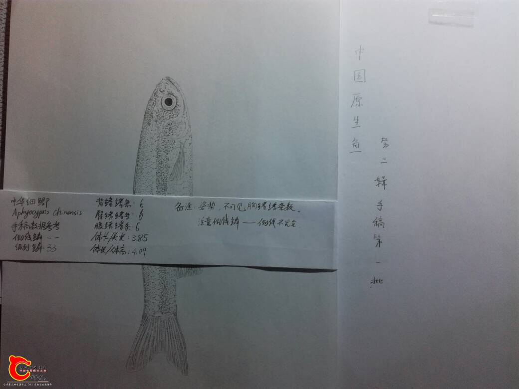 231021eoiwom9qotwwqzsm.jpg
