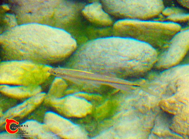 DSC04051.JPG