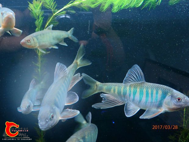 P3283585_副本_副本.jpg