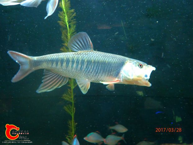 P3283595_副本_副本.jpg