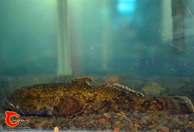 DSC_3136.JPG